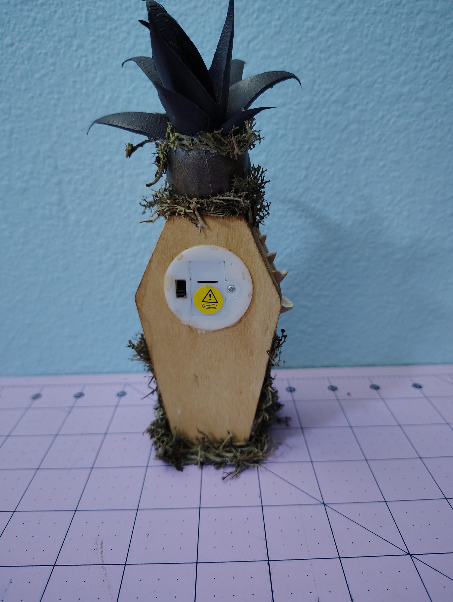 Light up Halloween Coffin skull succulent deco